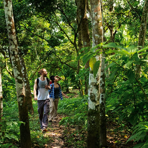 Caminatas por la selva Amazónica