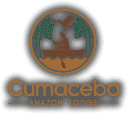 Logotipo Amazon Lodge