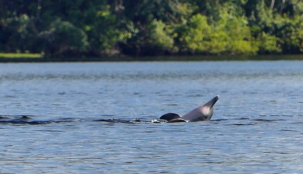 Confluencia del Nanay y el Amazonas