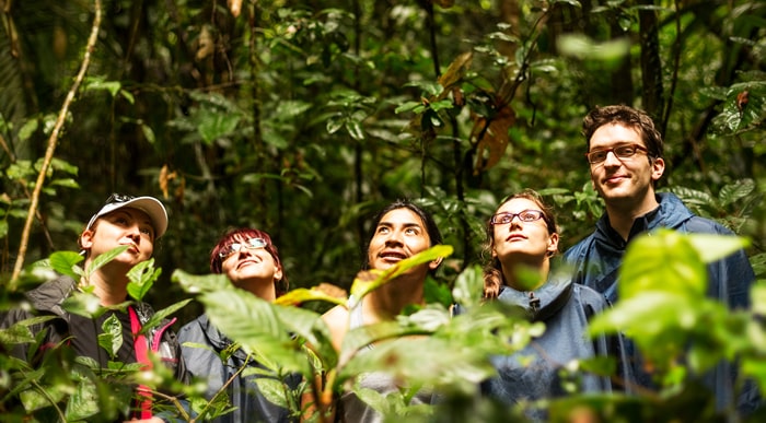 Expedición por la Selva