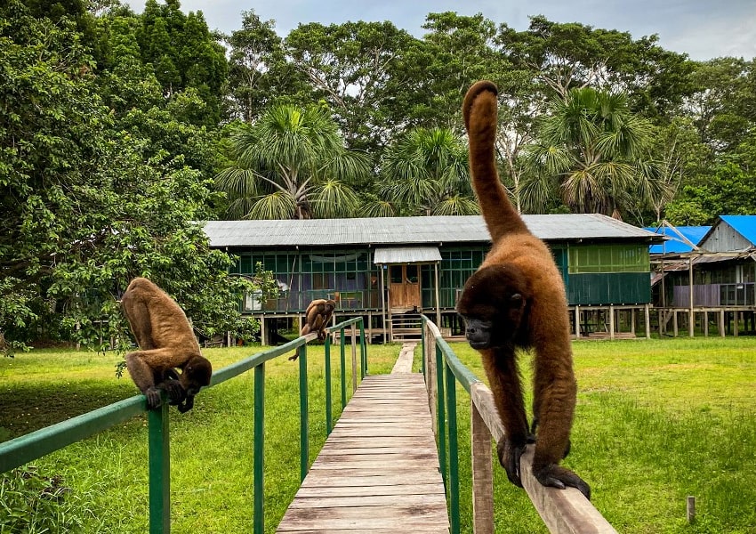 Isla de los Monos