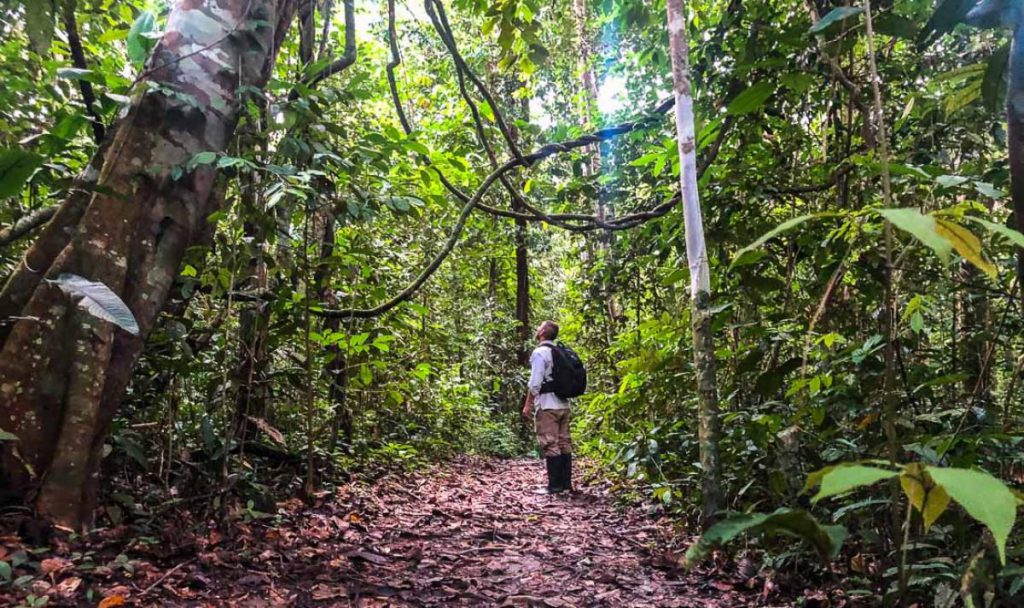 Reserva nacional Allpahuayo-Mishana