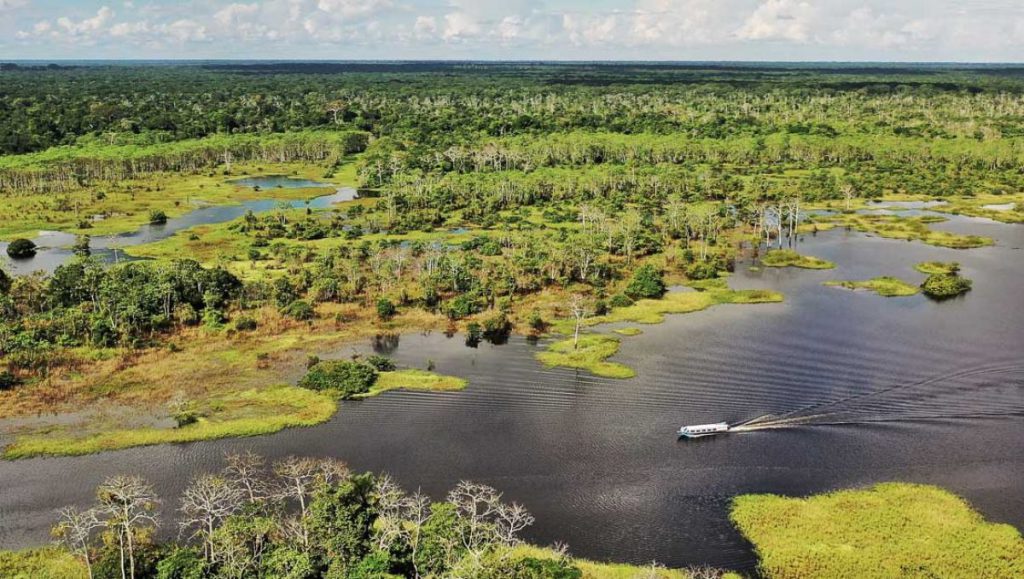 Reserva nacional Pacaya-Samiria