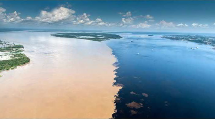 Full day tour a la selva a través del rio negro