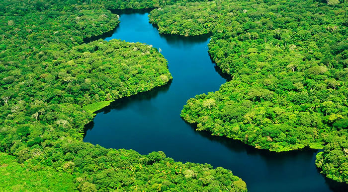 Rio Amazonas Verde