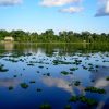 rio amazonas