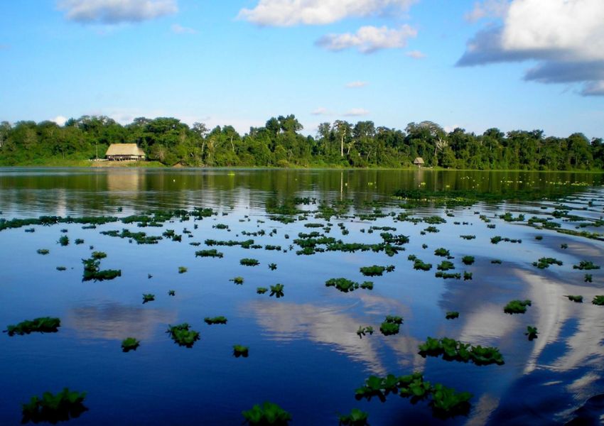 rio amazonas