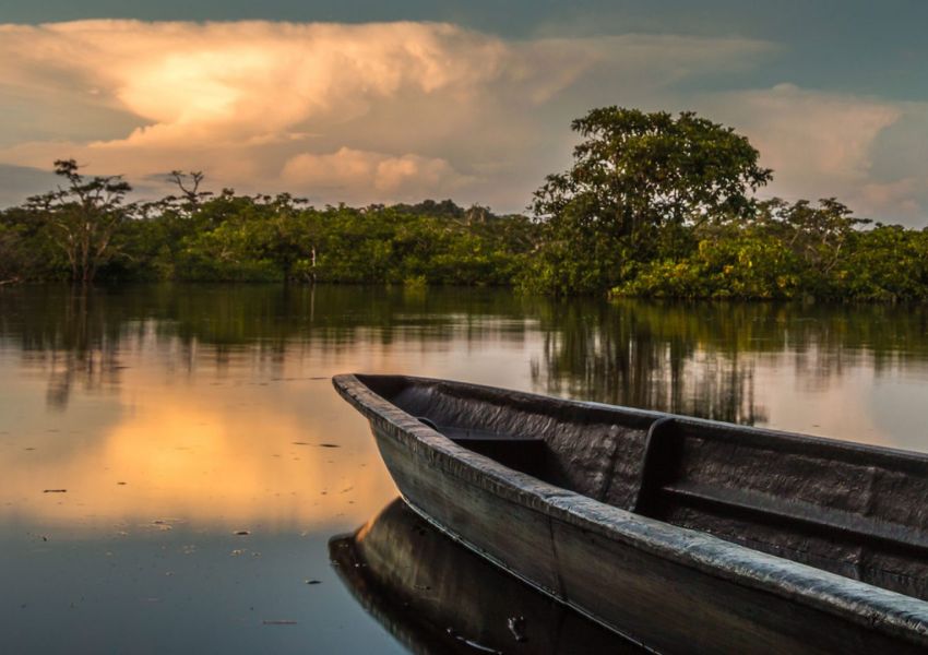 atardecer en la selva